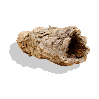 HerpShipper natural cork bark rounds for reptile hides and terrarium tunnels