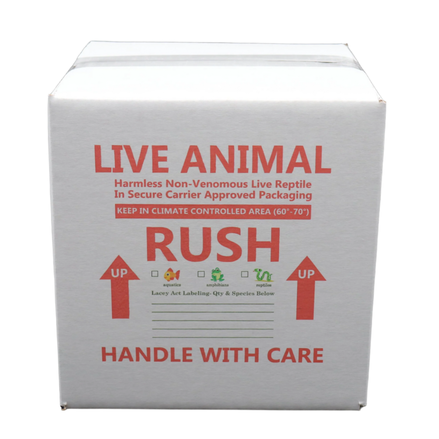 Insulated Shipping Boxes