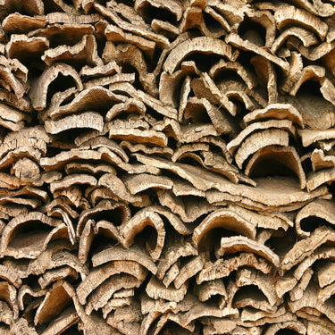 HerpShipper natural cork bark flats for vivarium backgrounds and reptile climbing walls - view 4