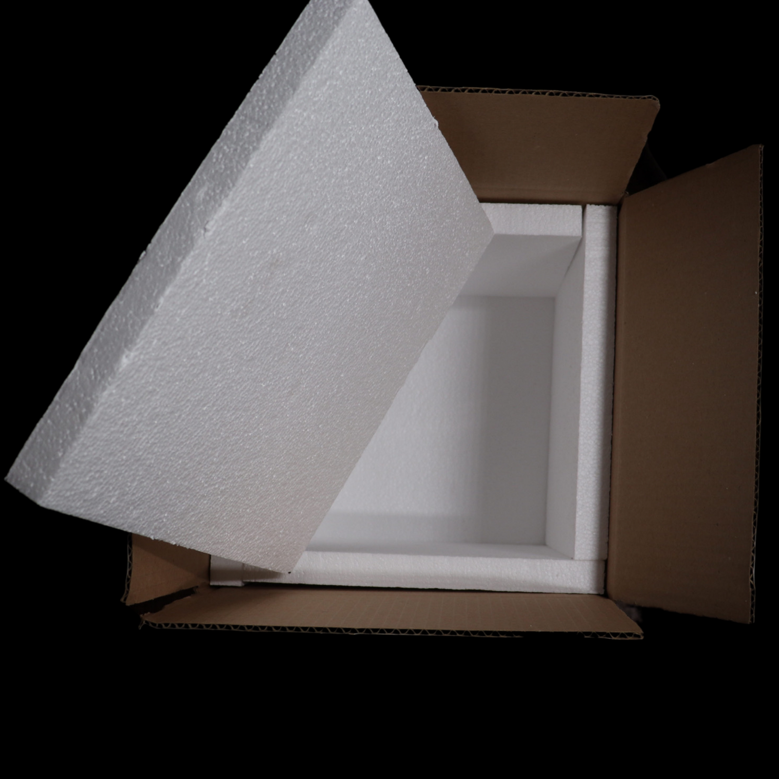 Open HerpShipper reptile shipping box showing EPS styrofoam liner and foam lid inside a corrugated outer box